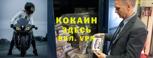 сатива Вяземский