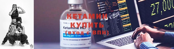 сатива Вяземский