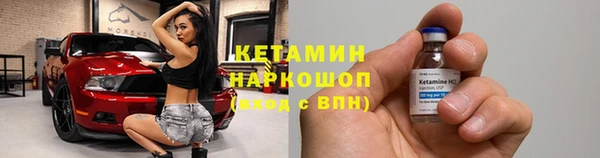 сатива Вяземский
