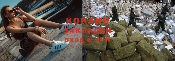 сатива Вяземский