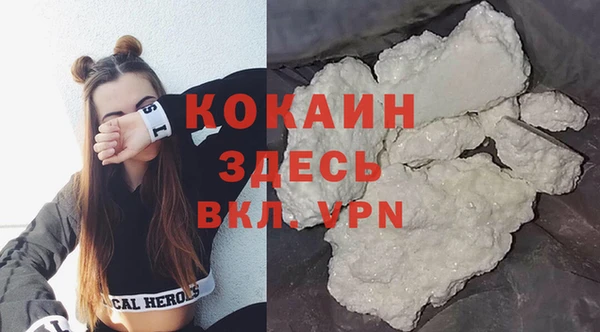 сатива Вяземский