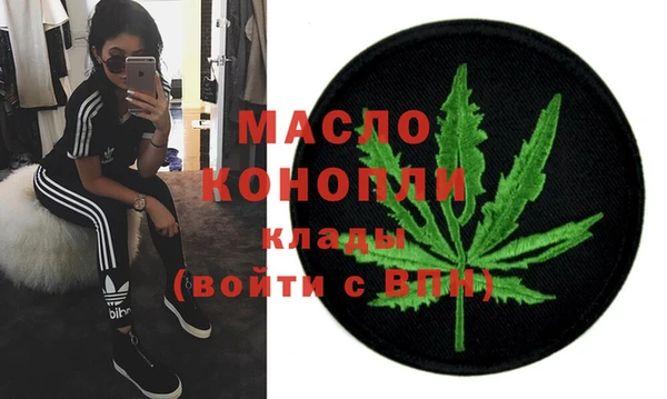 сатива Вяземский