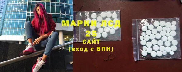 сатива Вяземский
