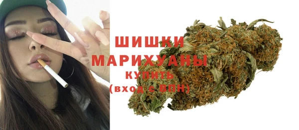 сатива Вяземский