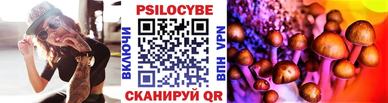 Галлюциногенные грибы Psilocybe  Купить закладки  Рузаевка 