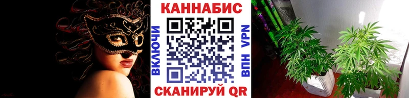 Купить где  Рузаевка  Бошки Шишки Amnesia 